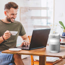 Boneco P130 Compact Air Purifier