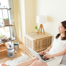 Boneco P230 Compact Air Purifier