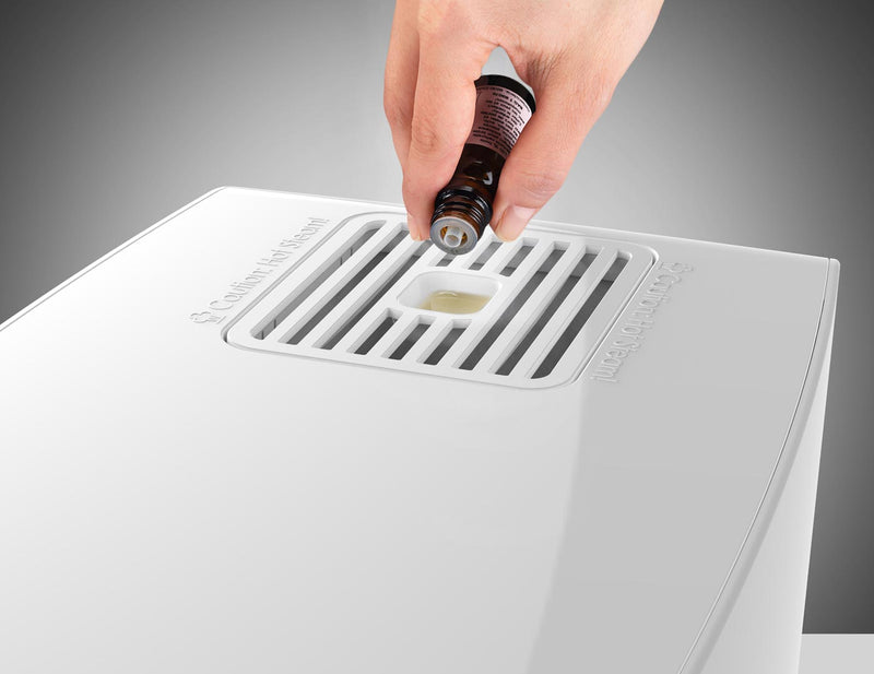 Boneco S250 Steamer