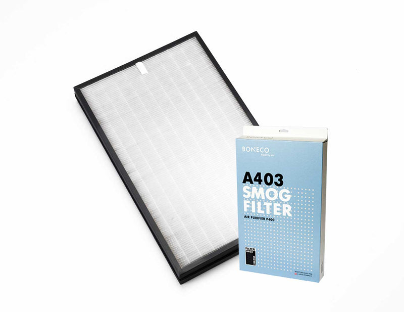 A403 SMOG Replacement Filter for P400