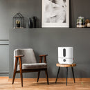 Boneco Ultrasonic Humidifier U250